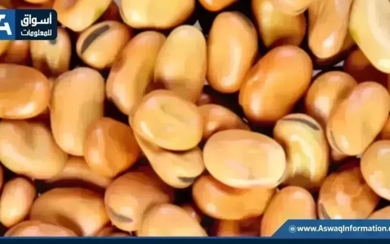 سعر أردب الفول البلدي اليوم الأحد عند التاجر في السوق